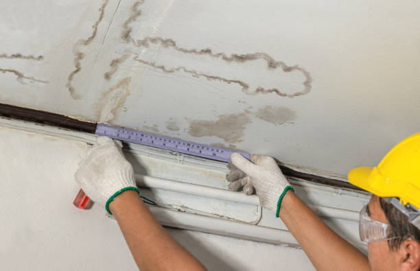 Reliable Water Damage Repair contractor in Pitsburg, OH by Hirex Water Damage